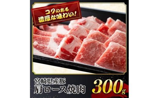 ※発送時期が選べる※宮崎県産 豚肉 6種 4.1kg【ミヤチク 九州産 国産 宮崎県産 豚 ぶた 肉 ロース バラ とんかつ 焼肉 おうちごはん おうち時間】 [D0621]