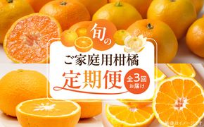 G60-T97_【発送月固定定期便】魚鶴自慢のご家庭用柑橘セット(みかん・不知火・清見)全3回