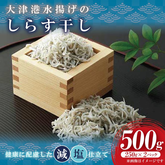 大津港水揚げのしらす干し　500g(250ｇx２パック)【シラス しらす丼 冷凍 新鮮 海鮮 魚介類  減塩 ご飯のお供 小分け 個包装 冷凍保存 カルシウム 北茨城市 茨城県】（AS205）
