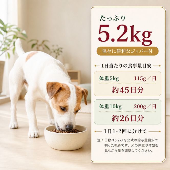 ビューティープロ ドッグ 低脂肪 1歳から 5.2kg ｘ1(ケース単位) ドッグフード