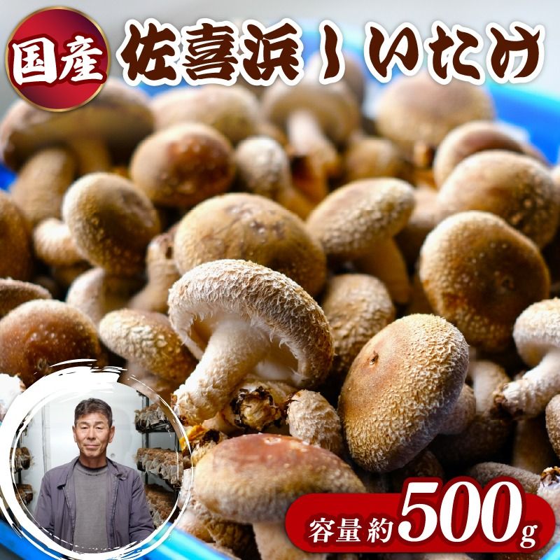 国産 佐喜浜しいたけ 約500g 椎茸 しいたけ 菌床 きのこ キノコ 調理 料理 ごはん ご飯 うまみ 6000円 高知県 nc002!