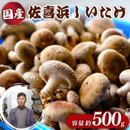 国産 佐喜浜しいたけ 約500g 椎茸 しいたけ 菌床 きのこ キノコ 調理 料理 ごはん ご飯 うまみ 6000円 高知県　nc002