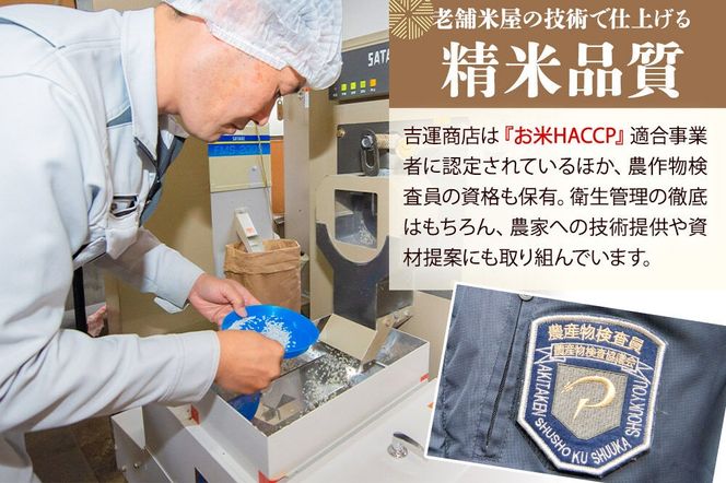 令和7年産『米屋のこだわり米』あきたこまち 白米 10kg（5kg×2袋） 吉運商店 秋田県 男鹿市 精米 お米 お弁当 おにぎり [米 こめ コメ 白米 あきたこまち 秋田県 男鹿市 10kg]|23_ysu-011001
