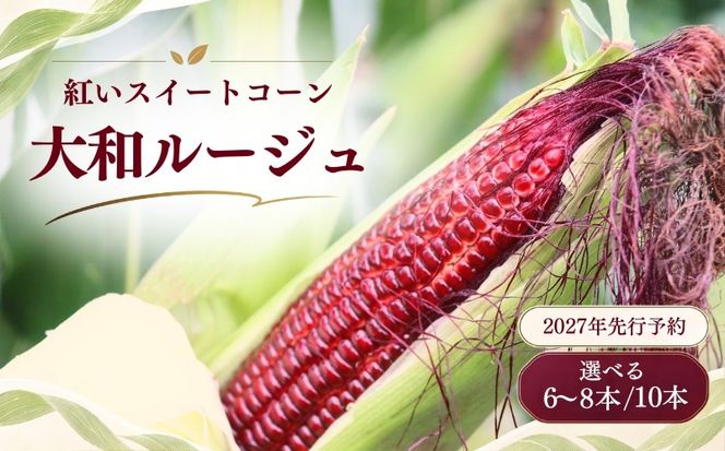 GN001_002【ふるさと納税】【2027年先行予約】山梨県都留市産 紅いスイートコーン 大和ルージュ 選べる 6～8本 / 10本 ｜希少な赤いとうもろこし 甘い スイートコーン トウモロコシ 産地直送 送料無料【浅田農園】　