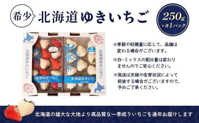 【受注後、随時発送！】【北海道産】ゆきいちご（ゆきぼたん/すず）白×ＭＩＸ 2Pセット 各250g×2 計500g【5900201】
