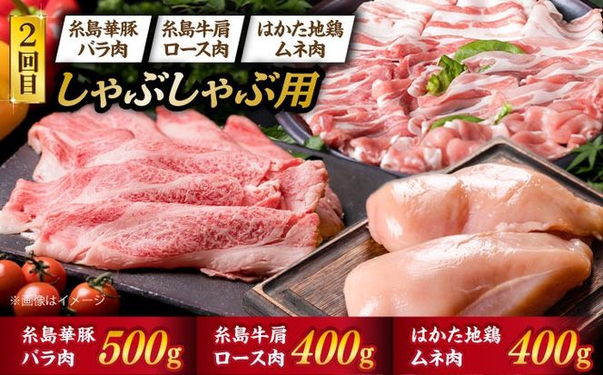 美味しさ 満載 ！ 贅沢お 肉 セット の 定期便 全5回 （月1回） 4人 家族用 【福岡 糸島産 牛肉 豚肉 鶏肉 ステーキ しゃぶしゃぶ すき焼き ヒレ シャトーブリアン ロース】 《糸島》 【糸島ミートデリ工房】 [ACA083] 定期便 博多和牛 豚 地 鶏 牛肉 焼肉 ステーキ すき焼き しゃぶしゃぶ 国産