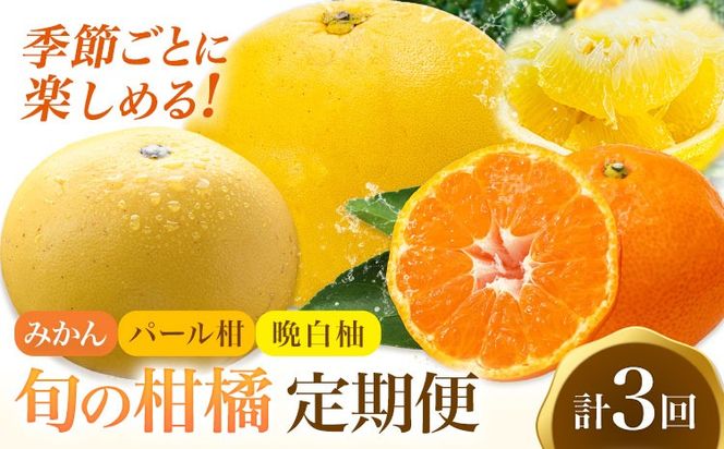 旬の柑橘定期便 山本果樹園 旬のみかん 約5kg パール柑 約5kg 晩白柚 2玉（Lサイズ）《11月上旬-2月下旬頃出荷》果物 フルーツ ザボン 熊本県 特産品---hkw_ymk_7_mo3---