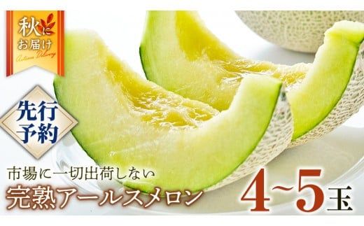 完熟 アールスメロン 大箱 4玉～5玉 2026年産 先行予約 メロン マスクメロン 青肉 果物 フルーツ 茨城県産 期間限定 数量限定 [AF082ci]