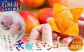 《2026年7月以降発送》最高糖度20度！？ 完熟！石垣島産冬眠ミニマンゴー 【 沖縄 石垣 数量限定 フルーツ ミニ マンゴー 冷凍 完熟 真空 】TF-18-1_R8