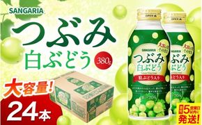 サンガリア つぶみ白ぶどう 380g×24本【9月30日受付終了】【igge0008】