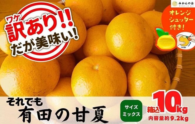 訳あり それでも 甘夏 箱込 10kg (内容量約9.2kg)  サイズミックス 産地直送 家庭用 皮むき器付き［みかんの会］AX257