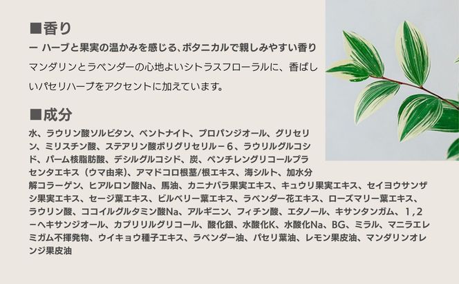 【sunao】京の拘りスキンケア クロウォッシュ 120g｜京都 自然素材 クレンジング スキンケア用品 洗顔 人気 ［ うるおい補給 W洗顔不要 ニキビ予防 人気 おすすめ 天然由来原料使用 柔らか素肌 お取り寄せ 通販 送料無料 ふるさと納税 ］ 261009_B-XP01