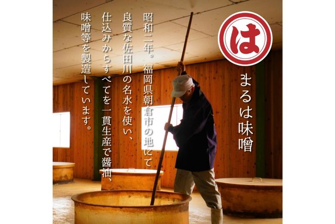 博多もつ鍋 セット (九州味噌仕立て) 4～6人前 [ベネフィス 福岡県 筑紫野市 21761393] 鍋 もつ鍋 モツ鍋 もつ モツ 味噌 みそ 博多 福岡 国産 国産牛 本場 ホルモン 冷凍