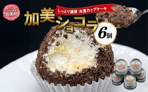 復刻版バフンケーキ　加美町名産　『加美ショコラ』　6個入り [やくらい土産センター 宮城県 加美町 44581294] 