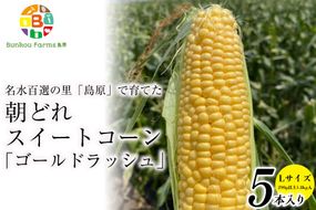 CE280【令和8年度出荷分】 5月下旬から出荷！ 朝どれ スイートコーン L×5本セット(1.8kg入) ～名水百選の里 島原産～