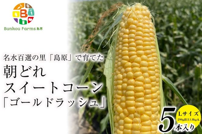 y茧szCE280yߘa8Nxoוz 5{oׁI ǂ XC[gR[ L×5{Zbg(1.8kg) `SI̗ Y`