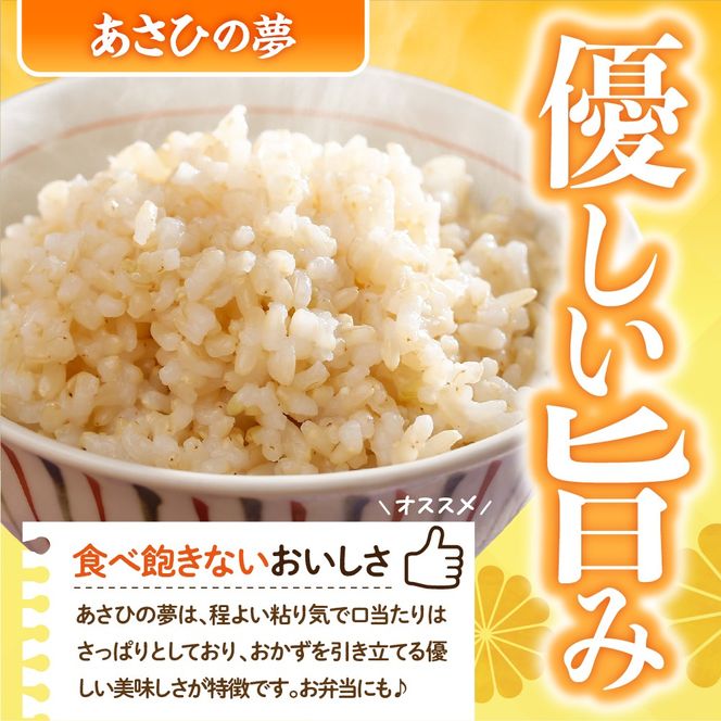 2026年6月発送【令和7年度産】群馬県千代田町産 あさひの夢 10kg(5kg×2袋) (玄米) 群馬県 千代田町