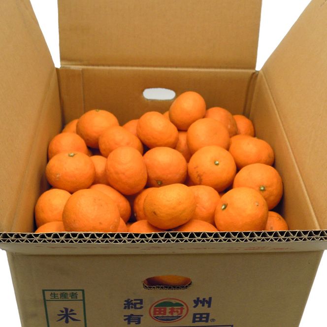 DN6014_【2026年先行予約】田村みかん 秀品 約 5kg 2Sサイズ 高級ブランド 田村みかん 小玉 みかん 温州みかん フルーツ 果物 柑橘 果汁 ジューシー 赤秀品 青秀品 国産 食品 食べ物 期間限定 お取り寄せ 和歌山県 湯浅町 送料無料