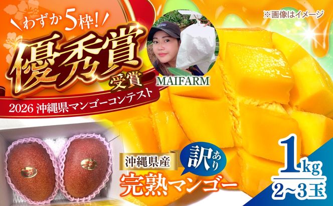 【先行予約】【優秀賞受賞】沖縄県産 完熟マンゴー 訳アリ 1kg (2〜3玉) マンゴー 沖縄 果物 フルーツ ギフト 沖縄市 / MAIFARM[BCAN003]
