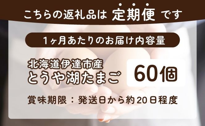 【3ヵ月 定期便】 北海道 伊達市 とうや湖 卵  60個 入り たまご