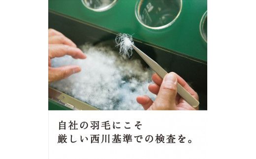 【nishikawa/西川】羽毛掛けふとん/ジーリンホワイトグースダウン90％/クイーン/配色アイボリー【P252W】（滋賀県　近江八幡市）