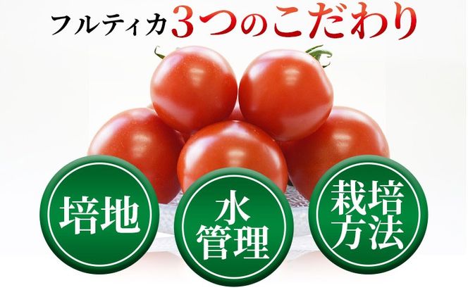 ＜高級いちご「おおきみ」と完熟ミディトマト「フルティカ」のセット（簡易包装）＞ 2025年1月上旬から4月末迄に順次出荷【 ご家庭用 家庭用 いちご イチゴ 苺 大粒 朝どれ 朝獲れ 完熟いちご 産地直送 とまと トマト 完熟トマト 】【b0867_sn】