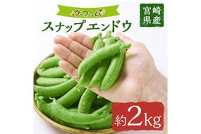 ＜先行予約受付中！2026年2月下旬～4月上旬の間に発送予定＞期間限定！スナップエンドウ(約2kg)野菜 やさい 旬 新鮮 サラダ そら豆 えんどう豆  宮崎県産【GF-1】【グーファーム】