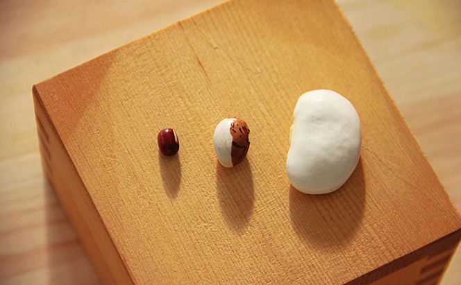 北海道 洞爺湖町産 高級菜豆 2種 白花豆 500g 紫花豆 500g 計1kg 12月中旬よりお届け 花豆 豆 マメ まめ 大粒 甘い 北海道産 国産 煮豆 スープ 煮込み料理 常温 お取り寄せ 送料無料 【 洞爺湖町 】