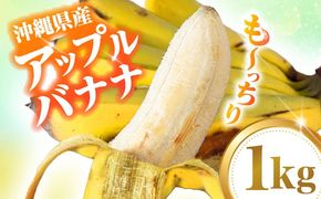 ムッチリ食感！沖縄県産アップルバナナ 1kg バナナ フルーツ 果物 無農薬 banana 沖縄市 / タカエス フルーツ＆ベジタブル[BCBH003]