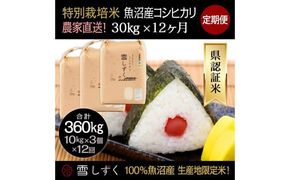 【令和8年産】定期便！農家直送！県認証特別栽培魚沼産コシヒカリ【合計360kg】毎月30kg×12回 精米 ご飯 ブランド米 銘柄米