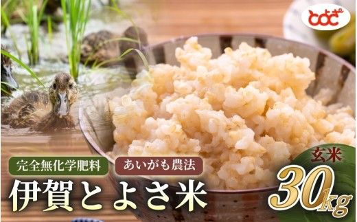 完全無化学肥料 あいがも農法 令和8年産 伊賀とよさ米【玄米】30kg/お米 ごはん ご飯 米 伊賀市 三重県 おいしい 美味しい おにぎり ライス 健康 健康志向 ダイエット 生活習慣病 腸活 食事バランス ビタミン 食卓 送料無料【tysk0005】