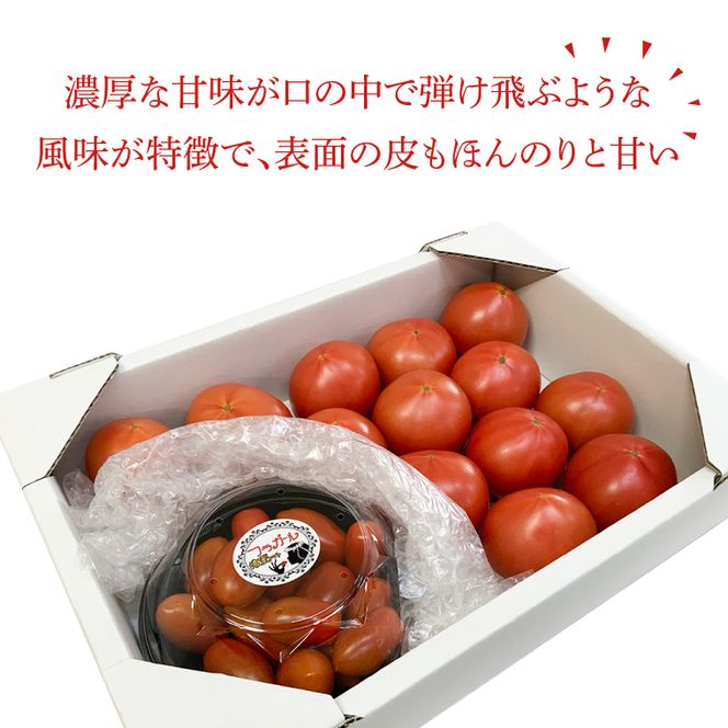 【2026年6月より順次発送】東山農園のアップルトマトとフラガール　合計約1kg｜トマト とまと 野菜 やさい 数量限定 先行予約 アップルトマト 新感覚 濃厚 フルーツ フルーツトマト 茨城県 行方市 ふるさと納税(FP-2)