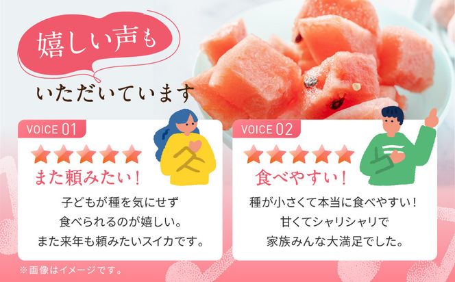 【先行予約】798.種ごと食べられる！小玉スイカ【ピノ・ガール】2玉（1玉2kg前後×2玉）※着日指定不可※離島への配送不可 313726_BQ007
