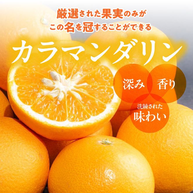【2027年先行予約】和歌山県産　カラマンダリン　約5kg　秀品_ZE6501