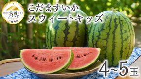 【 JA北つくば 】 こだますいか 「 スウィートキッズ 」 4～5玉 先行予約 スイカ 果物 フルーツ [AE006ci]