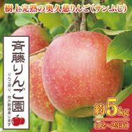 【数量限定/先行予約】奥久慈りんご「サンふじ」約5kg（12～23玉）【2026年11月上旬頃発送予定】斉藤りんご園第2直売所｜茨城県 大子町 樹上完熟 林檎 果物 フルーツ 旬 産地直送 （CG008-1）
