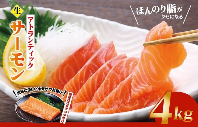 y{򍲖szG3552 HIAgeBbNT[ v4kgy ؂ hg  CNz