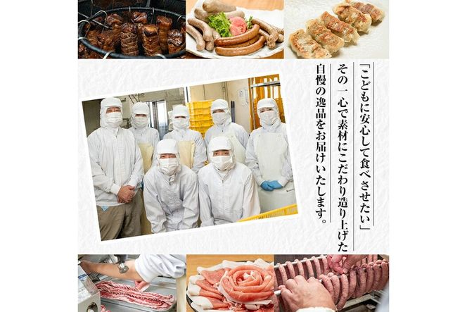 a687 《訳あり》鹿児島黒豚「短鼻豚」ローススライス小分けセット1kg(250g×4パック)【鹿児島ますや】姶良市 国産 鹿児島県 肉 豚 豚肉 黒豚 ロース スライス 小分け パック