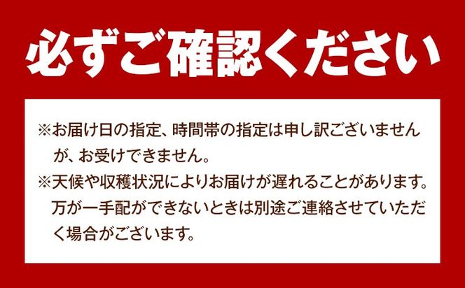 【2026年発送先行予約】岡山県産 桃太郎ぶどう 1.3kg 2房-3房 晴れの国おかやま館 《2026年9月上旬-9月下旬頃出荷》岡山県 矢掛町 葡萄 ぶどう 果物 スイーツ フルーツ デザート【配送不可地域あり】（離島）---ofn_chokmb_ab9_25_23000_13---