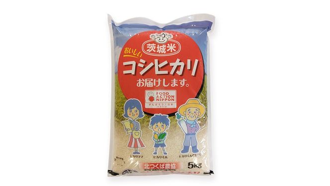 【 JA 北つくば 】 茨城県産 コシヒカリ 5kg 令和6年産 農協 米 お米 白米 コメ こしひかり 茨城県 精米 新生活 応援 [AE026ci]