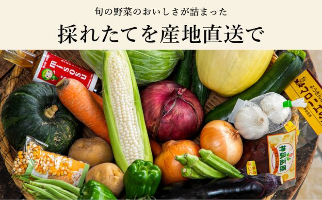 「高原の畑から直送」神鍋高原 季節の新鮮お野菜 詰め合わせセット 充実の5～10品｜ベジタブル＆フルーツアドバイザーがセレクト【兵庫県北部豊岡市にある「道の駅神鍋高原」からお届けします】