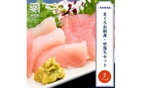【訳あり】南紀勝浦 お刺身・中落ち2点セット/まぐろ マグロ 鮪 勝浦【kys007】