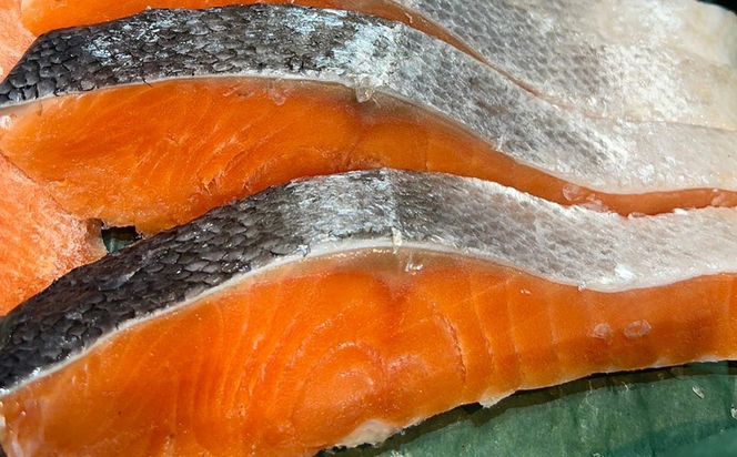 銀鮭 甘塩 切身 10切れ 約1kg | 定番 鮭 さけ サケ シャケ 魚 海鮮 魚介 鮭切身 朝食 お弁当 おかず 簡単調理