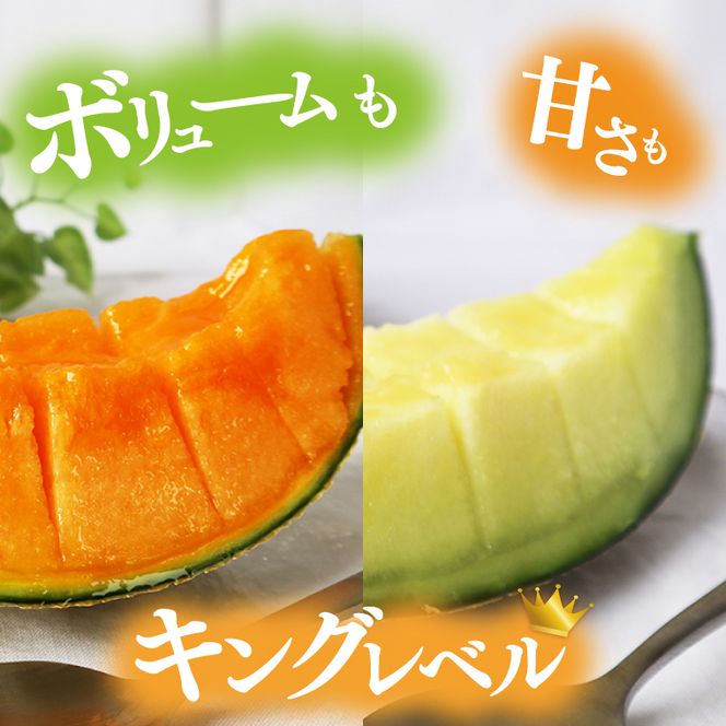 【2026年5月より順次発送】特大玉イバラキングメロン＆クインシーメロン（各1玉／計2玉）｜メロン クインシーメロン イバラキングメロン フルーツ 果物 くだもの 特大 先行予約 茨城県 行方市(BW-16-1)