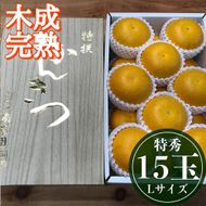 4月 まで 木成 完熟 させた 有田 はっさく 特秀 L × 15玉 2段詰 化粧箱 南泰園 みかん  	BS754