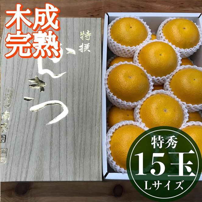 4月 まで 木成 完熟 させた 有田 はっさく 特秀 L × 15玉 2段詰 化粧箱 南泰園 みかん  	BS754