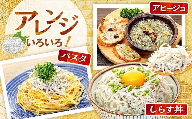 訳あり 釜揚げ しらす 350g～2kg 小分け  減塩 無添加 無着色 冷凍 愛知県 南知多町 ご飯 ごはん 丼 料理 国産 カネ成 シラス 人気 おすすめ