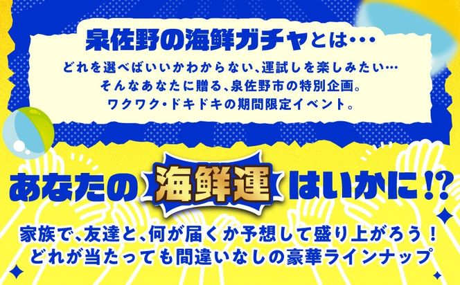 gacha015 【期間限定】泉佐野 海鮮ガチャ（寄附10,000円コース）【海鮮 えび 鮭 サーモン しらす 刺身 普段使い お楽しみ 翌月以降】