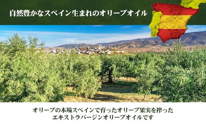 エキストラバージンオリーブオイル　初秋　500ml　1本 食用油/オリーブオイル 食用 