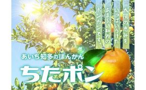 ちたポン（ぽんかん）5kg｜あいち知多のぽんかん 太田ぽんかん ポンカン フルーツ 果物 果実 かんきつ みかん ミカン 蜜柑 期間限定 数量限定 美浜町 愛知県 知多半島 国産　※北海道・沖縄・離島への配送不可　※2026年1月中旬～2月中旬頃に順次発送予定